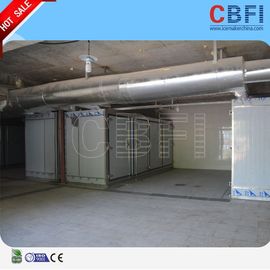 Sitio comercial del congelador de ráfaga/de congelador de ráfaga química con el compresor importado
