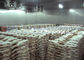 1000 toneladas de R507 R404a de cámara fría del congelador grande para los pollos de los pescados de la carne