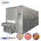 Iqf congelador de túnel rápido de frutas y verduras congeladas Equipo de fabricación de alimentos