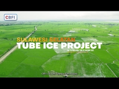 Proyecto de hielo de tubo 30 toneladas Máquina de hielo de tubo de bajo consumo energético y alto rendimiento