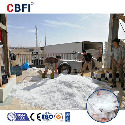 1.0mm-2.5mm espesor de hielo máquina de hielo en volúmenes para procesamiento de alimentos