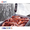 Llave de comercialización de encargo congelada del equipo de refrigeración de la conservación en cámara frigorífica de la corrosión por el frío de ráfaga 1000KG/H